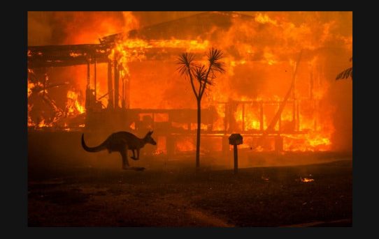 Avustralya Yangınları Neden Çıktı?