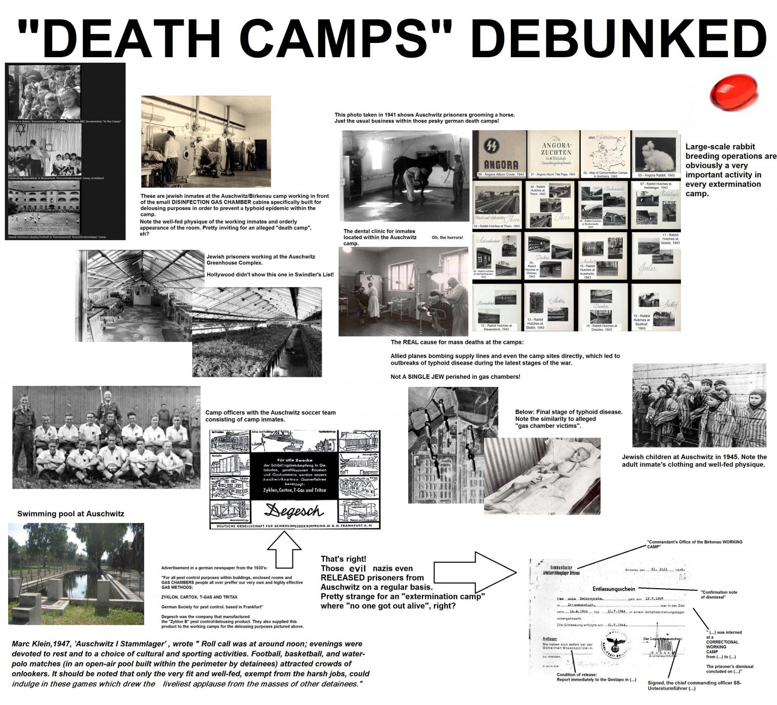 Death_Camps_Debunked-1-1536x1394.jpg